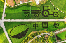 又是一年好“丰”景！渝北区2022年中国农民丰收节即将启幕