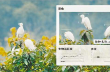 国内首个“生态大脑”有多牛？