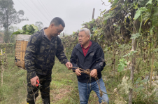 重庆九龙坡：科技特派员“传经送宝” 助力乡村振兴