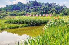 重庆荣昌：从重度缺水到“水美乡村”