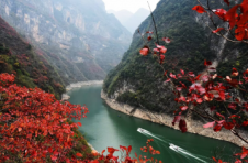 重庆巫山：以红叶为媒 大力发展全域旅游